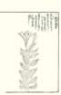 photo79_small.jpg