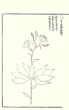 photo80.jpg