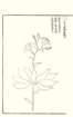photo80_small.jpg