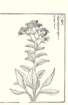 photo83_small.jpg