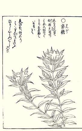 photo84.jpg
