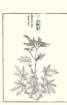 photo86_small.jpg