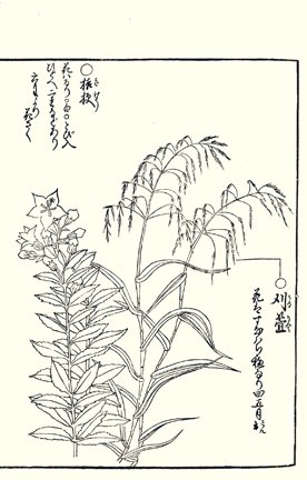 photo87.jpg