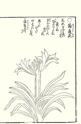 photo9.jpg