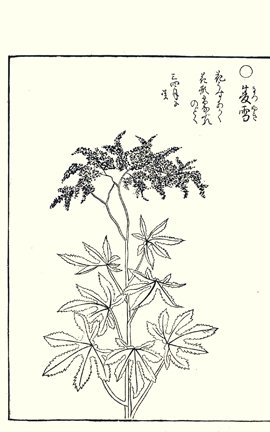 photo90.jpg