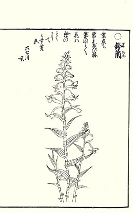 photo91.jpg