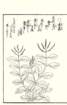 photo92_small.jpg