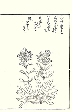 photo93.jpg