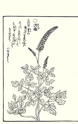 photo94.jpg