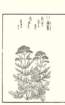 photo96_small.jpg