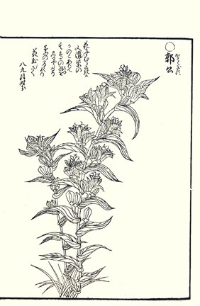 photo97.jpg