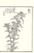 photo97_small.jpg