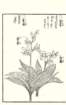 photo98_small.jpg