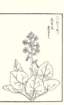 photo99_small.jpg
