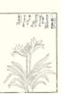 photo9_small.jpg