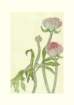 photo16_small.jpg