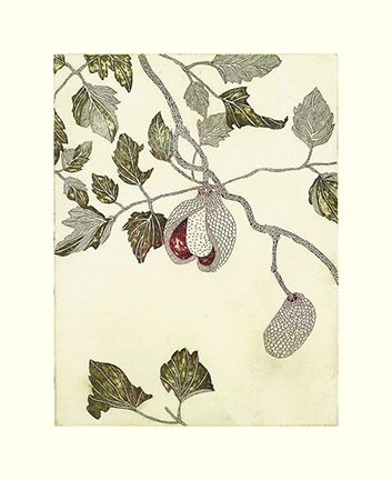 photo17.jpg