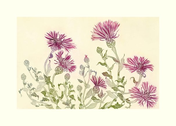 photo21.jpg