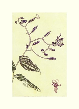photo27.jpg