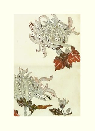 photo5.jpg