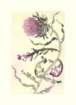 photo7_small.jpg