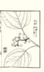 photo101_small.jpg