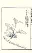 photo14_small.jpg