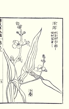 photo19.jpg