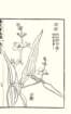 photo19_small.jpg