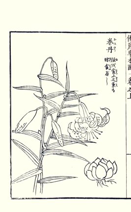 photo23.jpg