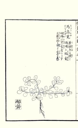 photo25.jpg