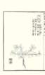 photo25_small.jpg