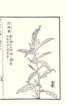 photo26_small.jpg