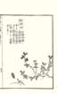 photo28_small.jpg