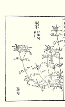 photo29.jpg