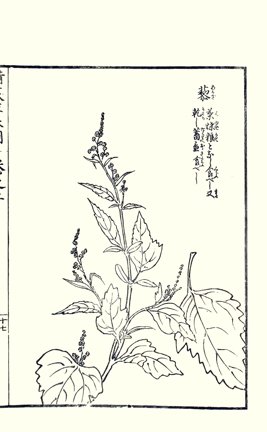 photo30.jpg