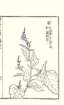 photo30_small.jpg
