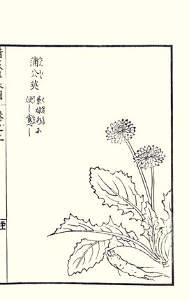 photo38.jpg