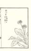 photo38_small.jpg