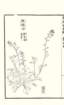 photo46_small.jpg