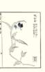 photo49_small.jpg