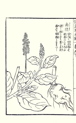 photo52.jpg