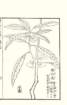 photo53_small.jpg