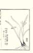 photo55_small.jpg