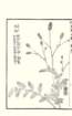 photo56_small.jpg