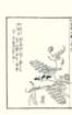 photo62_small.jpg