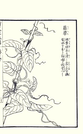 photo65.jpg