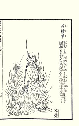photo67.jpg