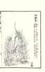 photo67_small.jpg