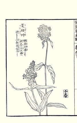photo70.jpg